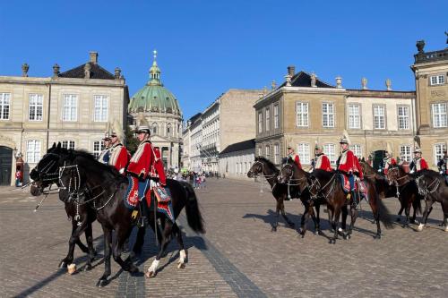 6amalienborg